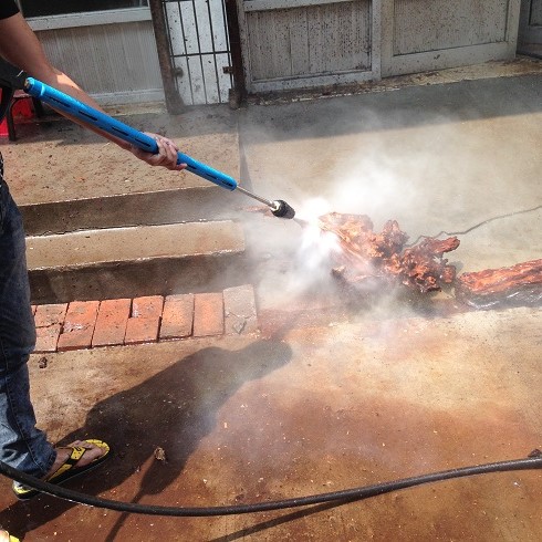 根雕清洗機(jī)高壓清洗機(jī) 高壓水槍